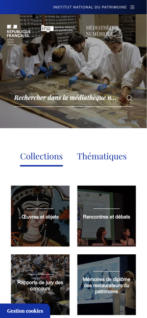 Aperçu de la page mobile des collections du site de l'INP